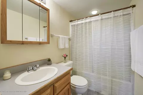 1202 Devon Court Basalt Co 81621 Ct, Basalt, CO 81621 photo 13