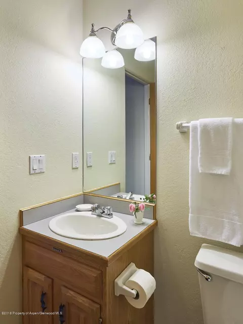 1202 Devon Court Basalt Co 81621 Ct, Basalt, CO 81621 photo 8
