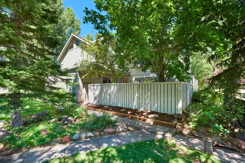 1101 Devon Court Basalt Co 81621 Ct, Basalt, CO 81621 photo 2