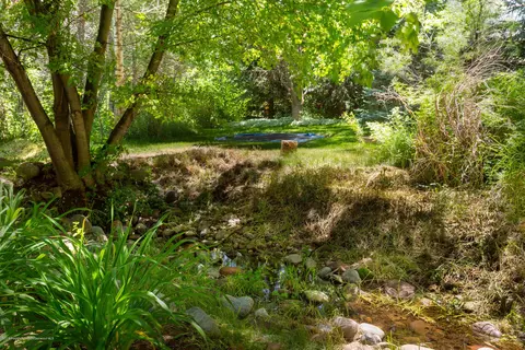 78 Lewis Lane Basalt Co 81621 Ln, Basalt, CO 81621 photo 22