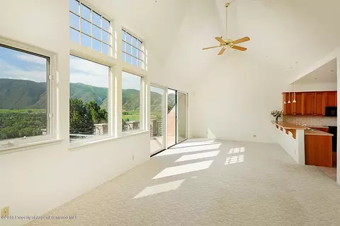 402 Wild Spring Lane Basalt Co 81621 Ln, Basalt, CO 81621 photo 11