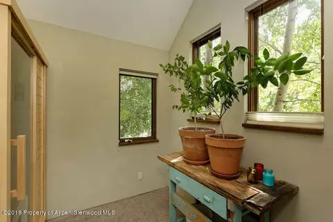 357 Allison Lane Basalt Co 81621 Ln, Basalt, CO 81621 photo 18