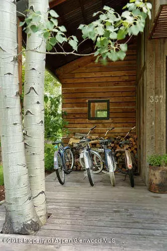 357 Allison Lane Basalt Co 81621 Ln, Basalt, CO 81621 photo 26