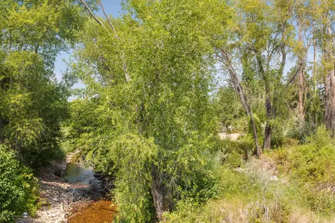 1195 Willits Lane Basalt Co 81621 Ln, Basalt, CO 81621 photo 12