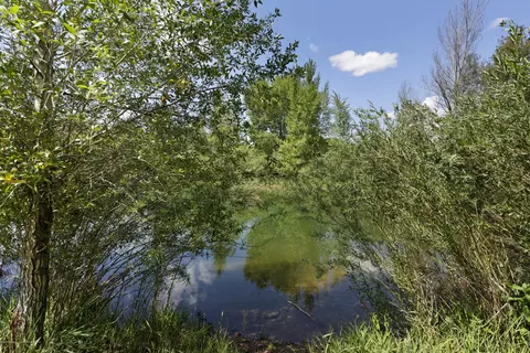 114 Lakeside Court Basalt Co 81621 Ct, Basalt, CO 81621 photo 14
