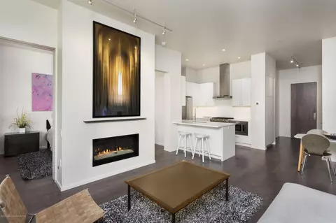 100 Evans Road Unit 203 Basalt Co 81621 Rd UNIT 203, Basalt, CO 81621 photo 11