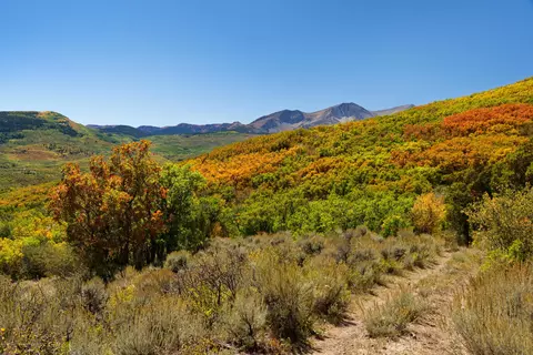 1244 Stone Road Basalt Co 81621 Rd, Basalt, CO 81621 photo 14