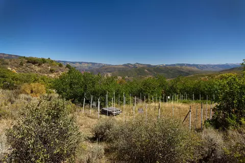 1244 Stone Road Basalt Co 81621 Rd, Basalt, CO 81621 photo 17