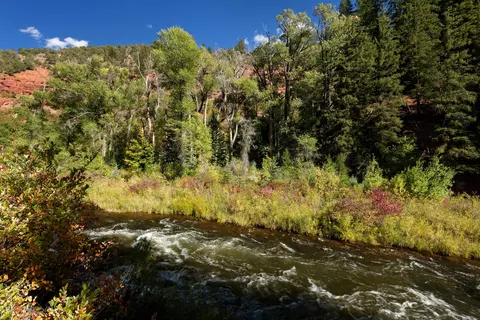 3006 Frying Pan Road Basalt Co 81621 Rd, Basalt, CO 81621 photo 20