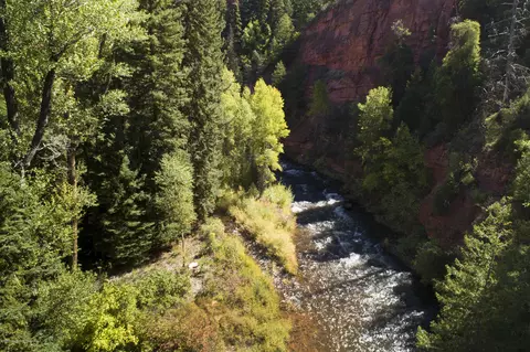 3006 Frying Pan Road Basalt Co 81621 Rd, Basalt, CO 81621 photo 10