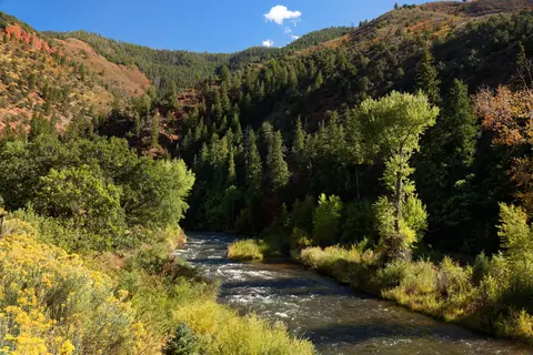 3006 Frying Pan Road Basalt Co 81621 Rd, Basalt, CO 81621 photo 13