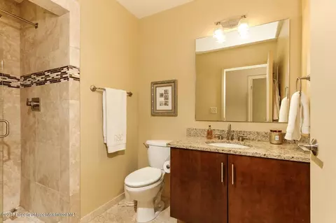 361 Robinson Street Apt 302 Basalt Co 81621 St # 302, Basalt, CO 81621 photo 12