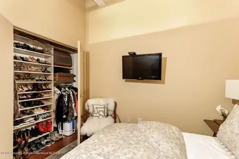 361 Robinson Street Apt 302 Basalt Co 81621 St # 302, Basalt, CO 81621 photo 11
