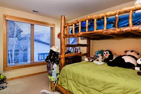 409 Meadow Court Basalt Co 81621 Ct, Basalt, CO 81621 photo 10