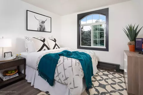 2202 Elk Lane Basalt Co 81621 Ln, Basalt, CO 81621 photo 5