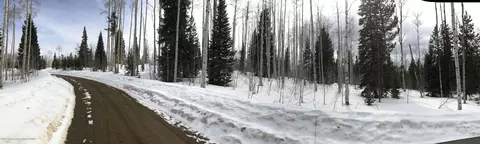 59123 Button Willow Drive Clark Co 80428 Dr, Clark, CO 80428 photo 11