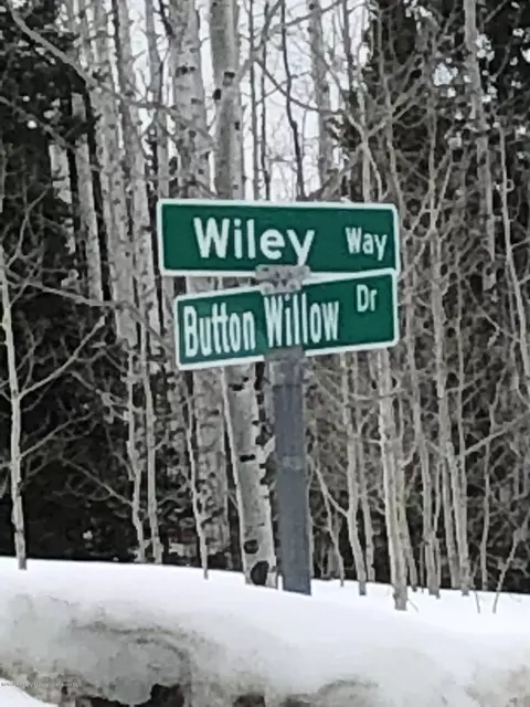 59123 Button Willow Drive Clark Co 80428 Dr, Clark, CO 80428 photo 9