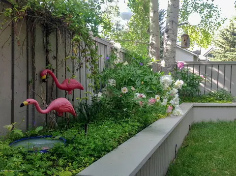 204 Devon Court Basalt Co 81621 Ct, Basalt, CO 81621 photo 26