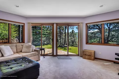 565 Hillcrest Drive Basalt Co 81621 Dr, Basalt, CO 81621 photo 9