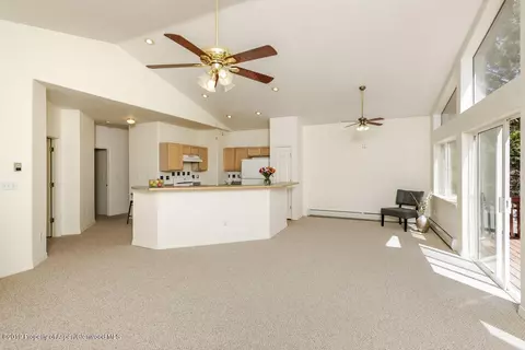17 Pine Ridge Road Basalt Co 81621 Rd, Basalt, CO 81621 photo 7