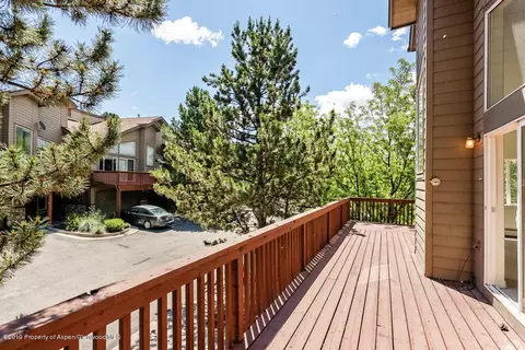 17 Pine Ridge Road Basalt Co 81621 Rd, Basalt, CO 81621 photo 22