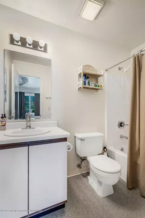 323 Park Avenue I-3 Basalt Co 81621 Ave #I-3, Basalt, CO 81621 photo 8