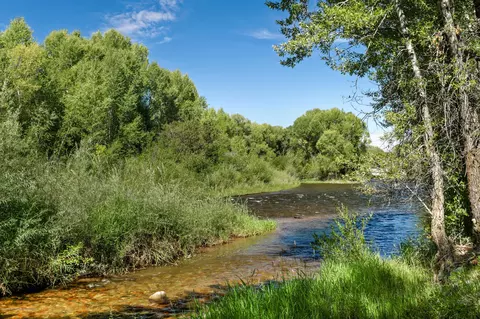 10 River Oaks Lane Basalt Co 81621 Ln, Basalt, CO 81621 photo 5