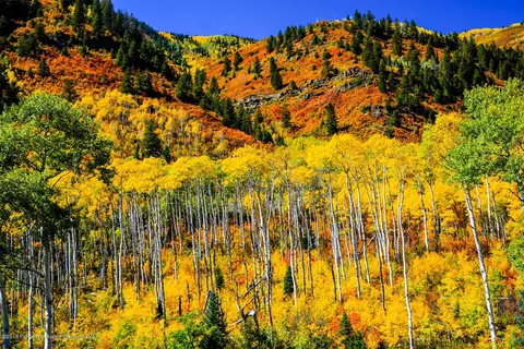 11526 Frying Pan Road Basalt Co 81621 Rd, Basalt, CO 81621 photo 10