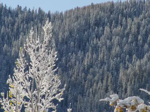 Undisclosed, Aspen, CO 81611