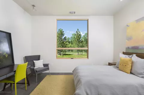 101 Willits Way Unit 103 Basalt Co 81621 Way UNIT 103, Basalt, CO 81621 photo 15