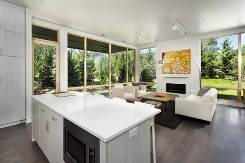 101 Willits Way Unit 103 Basalt Co 81621 Way UNIT 103, Basalt, CO 81621 photo 17