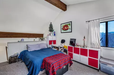 23284 Two Rivers Road Apt 1-a Basalt Co 81621 Rd # 1-A, Basalt, CO 81621 photo 13
