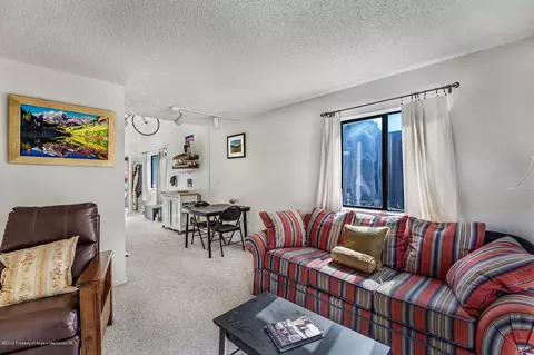 23284 Two Rivers Road Apt 1-a Basalt Co 81621 Rd # 1-A, Basalt, CO 81621 photo 9