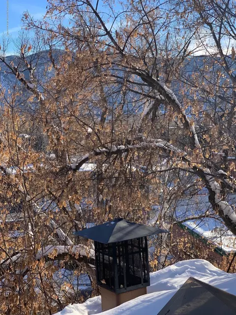 117 E Homestead Drive Basalt Co 81621 Dr, Basalt, CO 81621 photo 3
