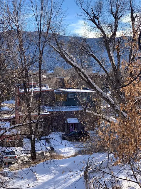 117 E Homestead Drive Basalt Co 81621 Dr, Basalt, CO 81621 photo 4
