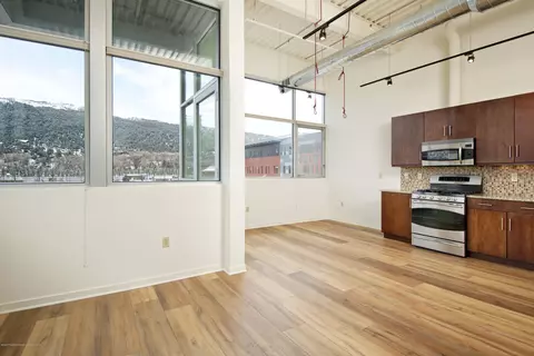 361 Robinson Street Street 214 Basalt Co 81621 St #214, Basalt, CO 81621 photo 4