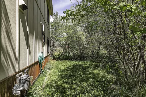 310 Roaring Fork Court Basalt Co 81621 Ct, Basalt, CO 81621 photo 19