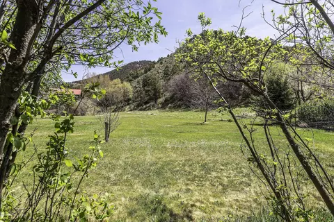 310 Roaring Fork Court Basalt Co 81621 Ct, Basalt, CO 81621 photo 7