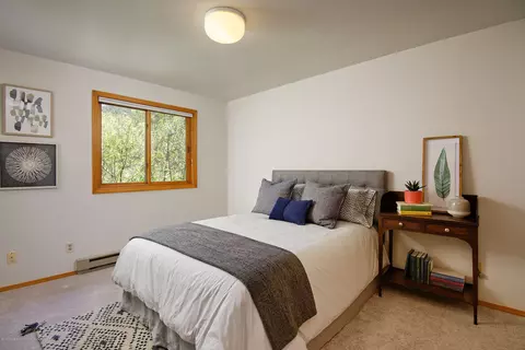 310 Roaring Fork Court Basalt Co 81621 Ct, Basalt, CO 81621 photo 10