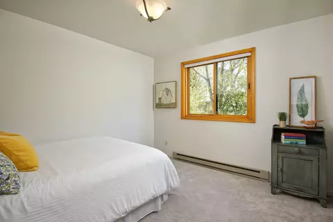 310 Roaring Fork Court Basalt Co 81621 Ct, Basalt, CO 81621 photo 11