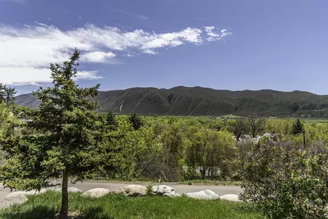 220 E Sopris Drive Basalt Co 81621 Dr, Basalt, CO 81621 photo 6