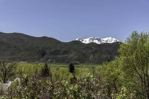 220 E Sopris Drive Basalt Co 81621 Dr, Basalt, CO 81621 photo 5