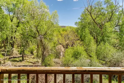 337 Allison Lane Basalt Co 81621 Ln, Basalt, CO 81621 photo 29