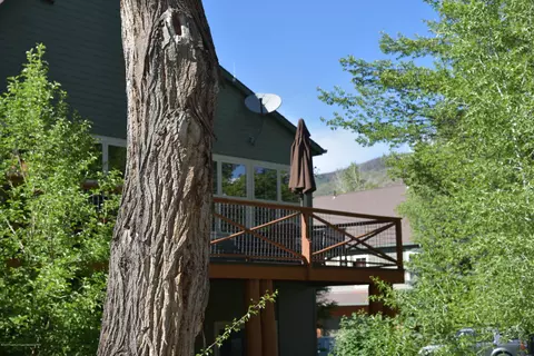 530 Evans Court Court Basalt Co 81621 Ct, Basalt, CO 81621 photo 13