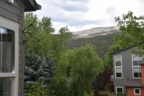 530 Evans Court Court Basalt Co 81621 Ct, Basalt, CO 81621 photo 20