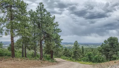 1350 Rincon Ridge Road Road Durango Co 81301 Rd, Durango, CO 81301 photo 48
