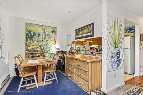 100 Midland Avenue 102 Basalt Co 81621 Ave #102, Basalt, CO 81621 photo 5