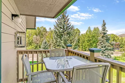 4204 Elk Lane Basalt Co 81621 Ln, Basalt, CO 81621 photo 20