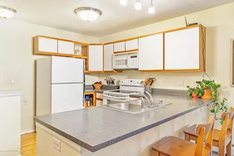 4204 Elk Lane Basalt Co 81621 Ln, Basalt, CO 81621 photo 18