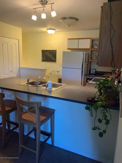 4204 Elk Lane Basalt Co 81621 Ln, Basalt, CO 81621 photo 3